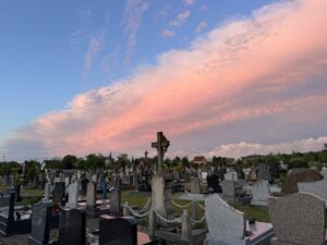ffa1976d 2176 43e1 ab75 935450c3ba99 1 105 c